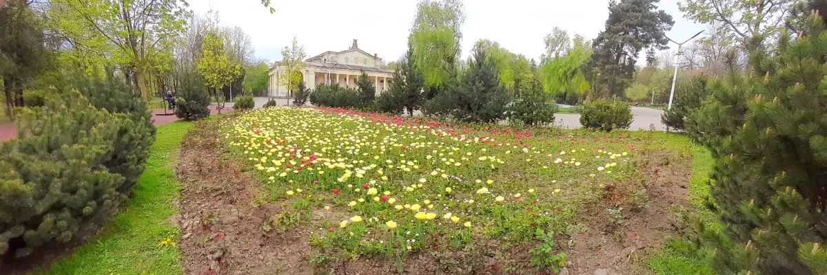 Parcul Bazilescu