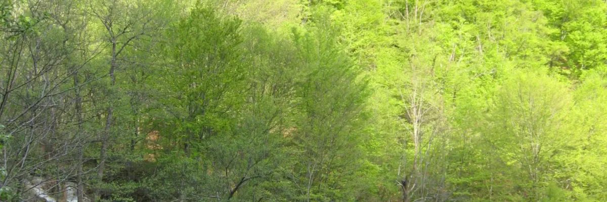 Cascada Șipote