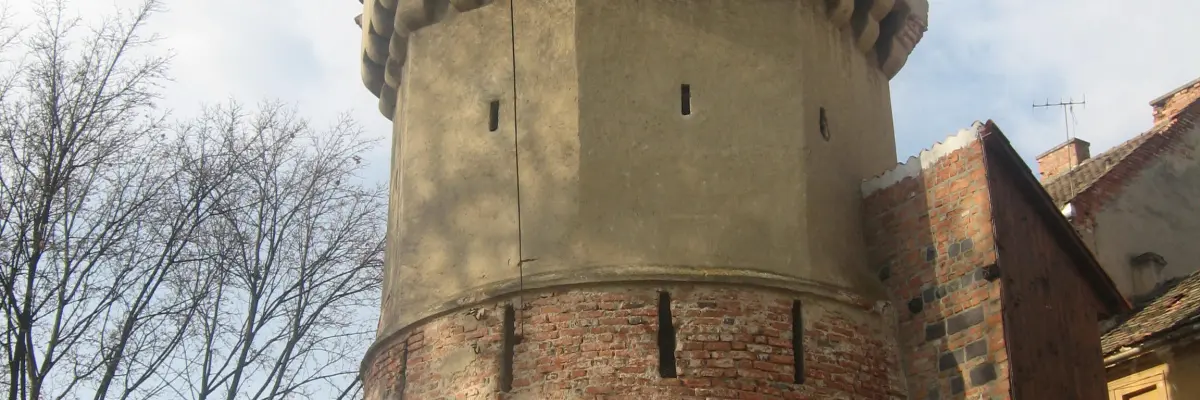 Turnul Dulgherilor (sec. XIV)