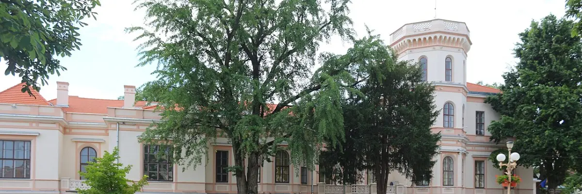 Castelul Nako