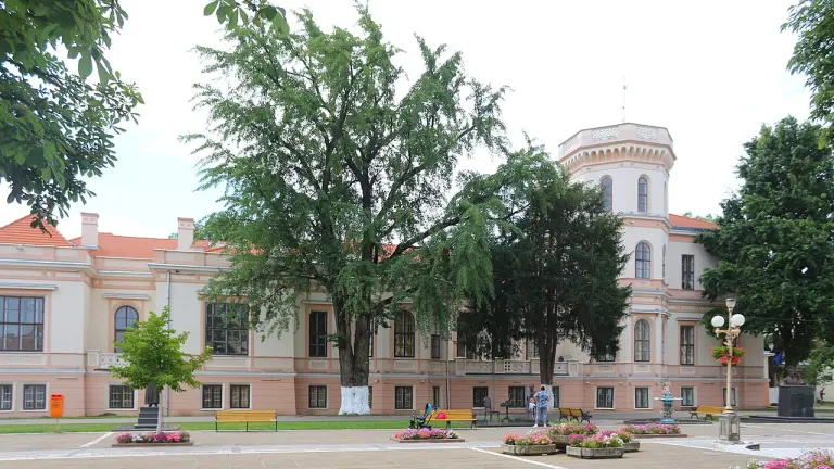 Castelul Nako - Oraş Sânnicolau Mare
