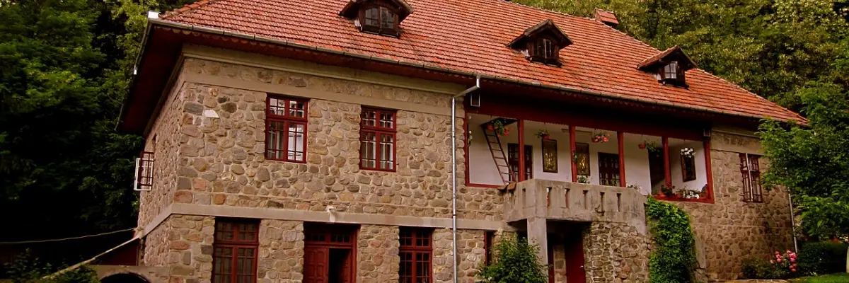 Mănăstirea Robaia
