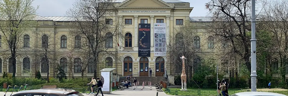 Muzeul Național de Istorie Naturală "Grigore Antipa"