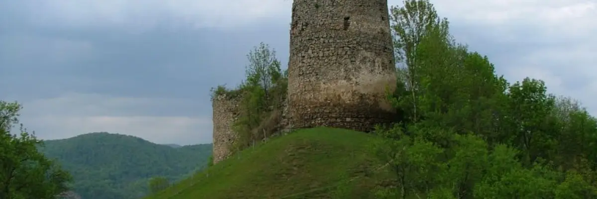 Cetatea Bologa