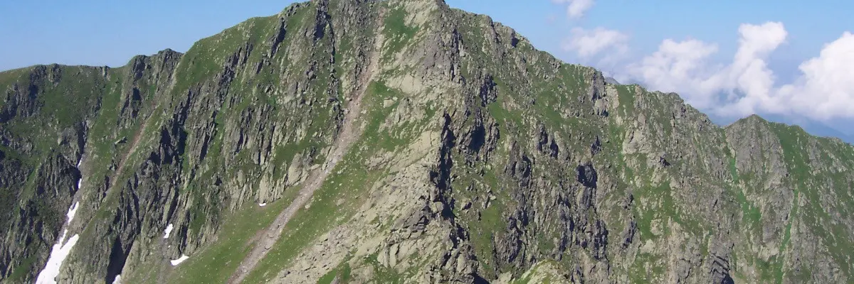 Șerbotă