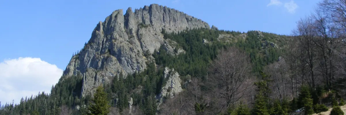 Creasta Cocoșului