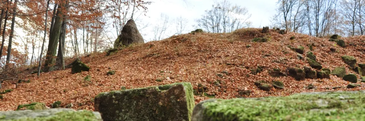 Cetatea Dacică Piatra Roșie