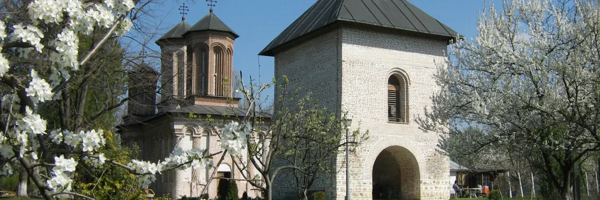 Mănăstirea Snagov