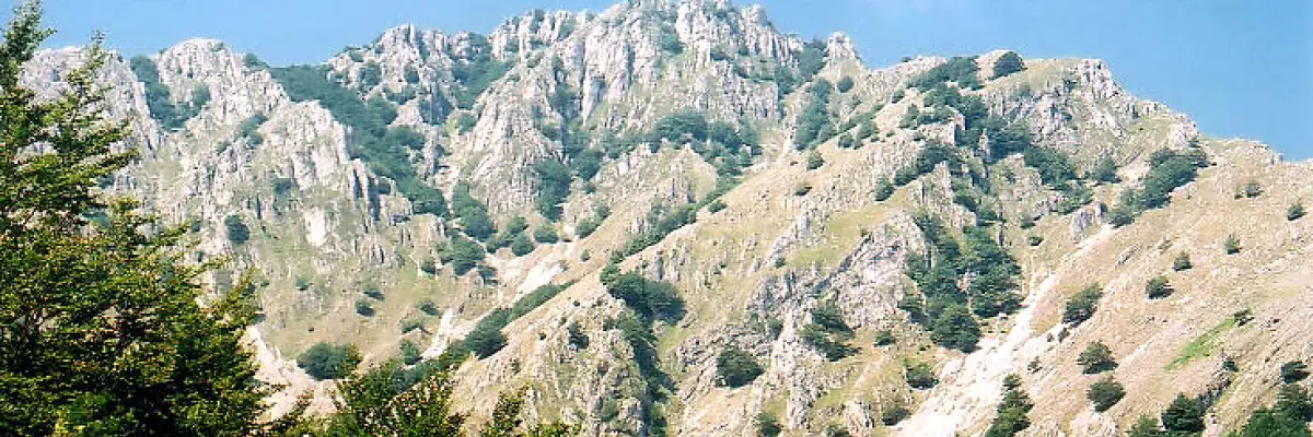 Vârful lui Stan