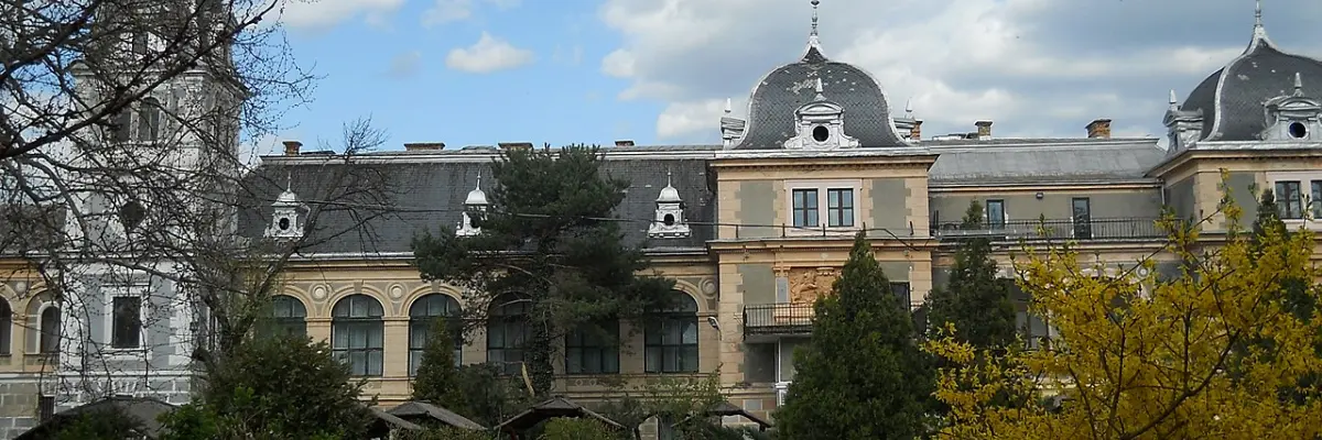 Castelul Cernovici - Universitatea de Vest „Vasile Goldiș”