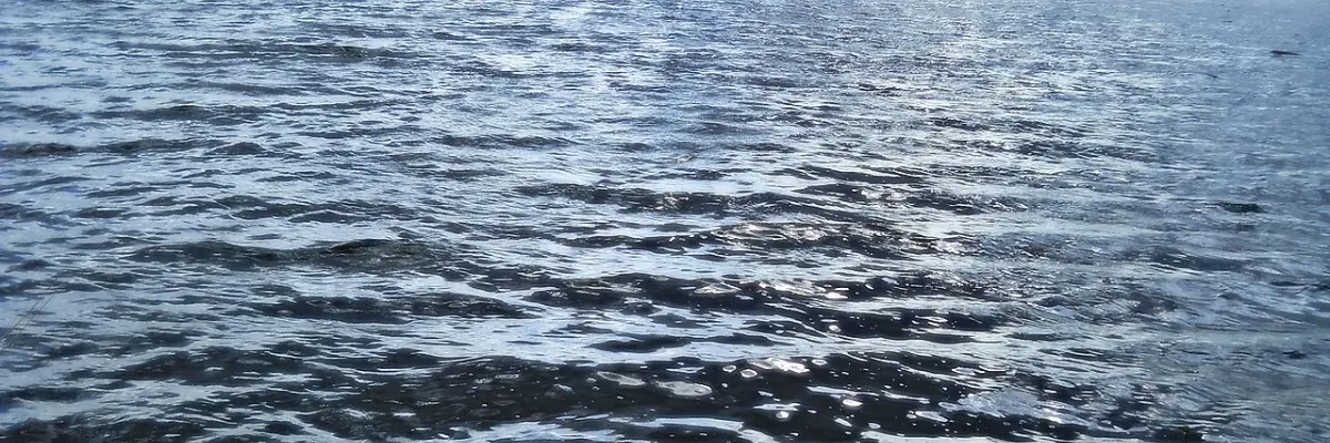 Lacul Amara
