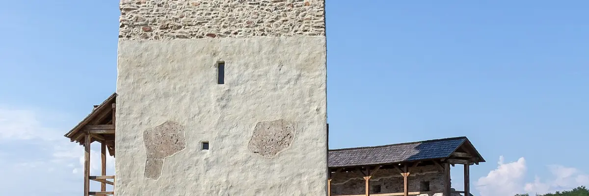 Cetatea nobiliară Mălăiești