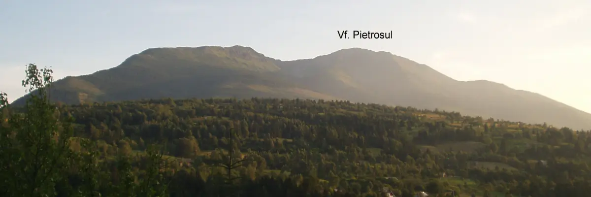 Pietrosul Rodnei
