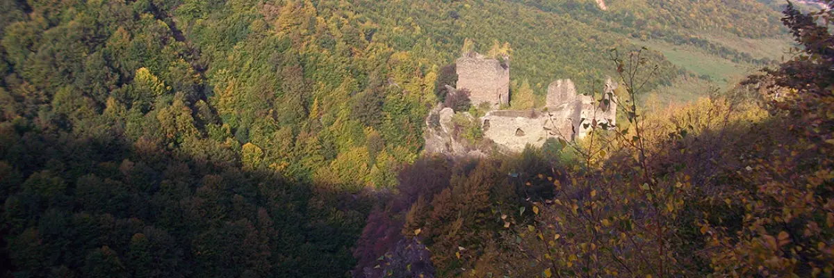 Cetatea Colț