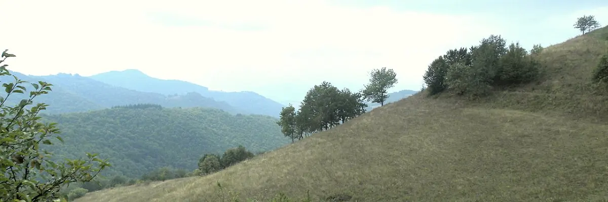 Banat Mountains