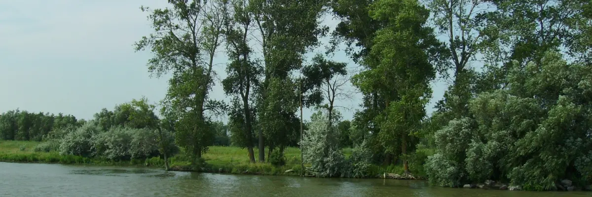 Pădurea Letea