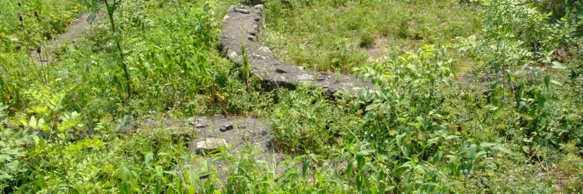 Castrul roman de la Gilău