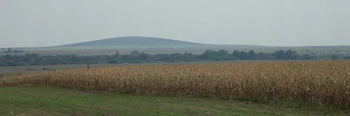 Șumigu
