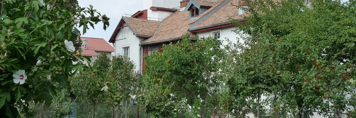 Muzeul Tudor Arghezi
