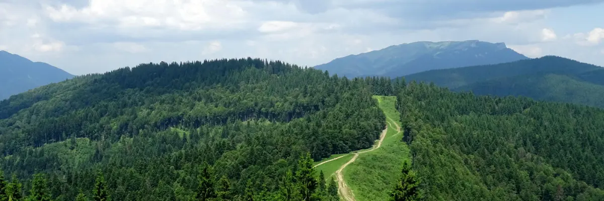 Clăbucetul Taurului