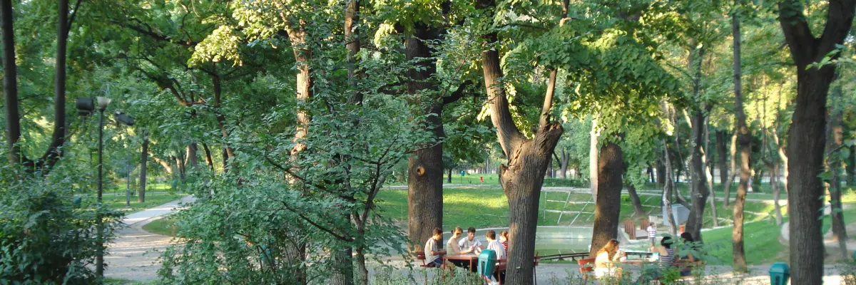 Parcul Kiseleff